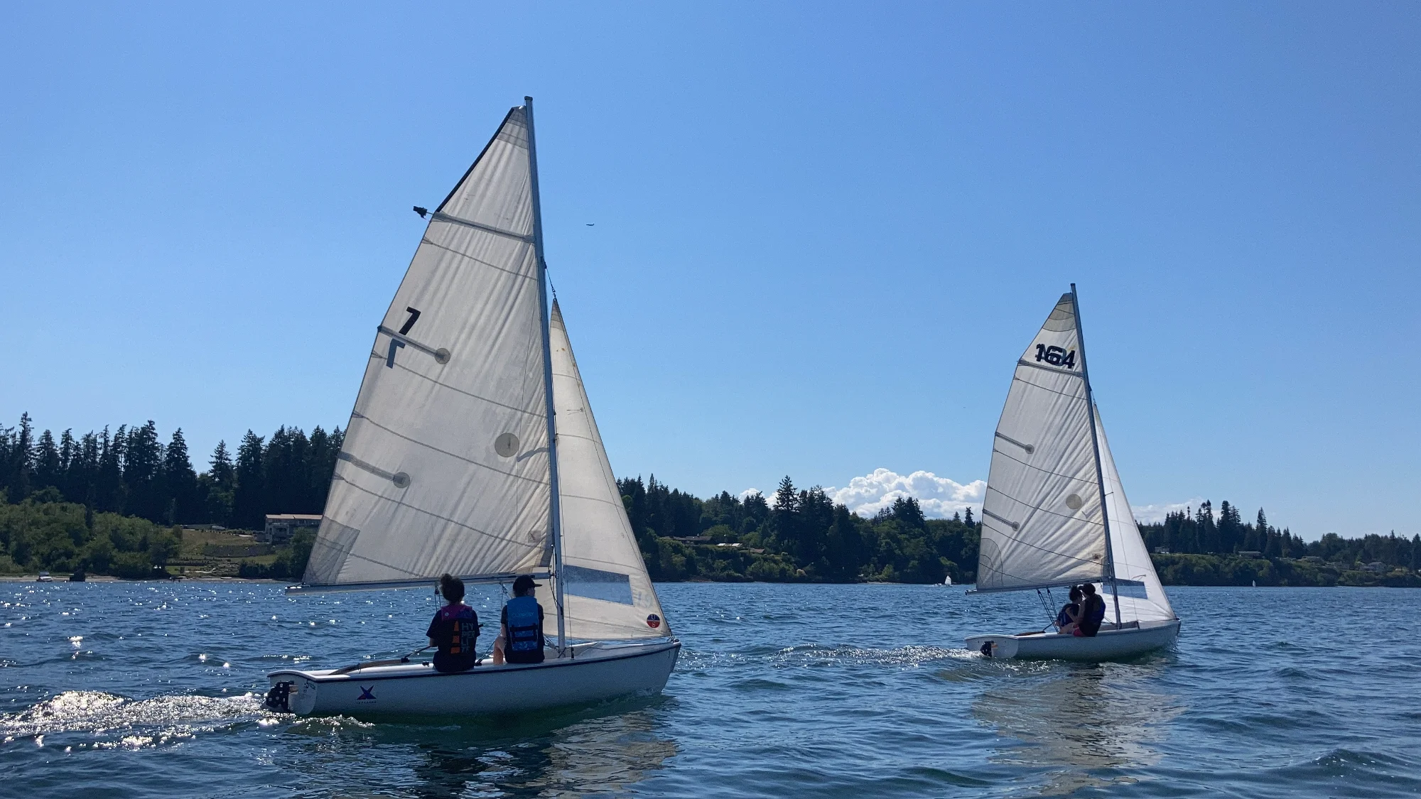 Flying Junior Sailing Camp